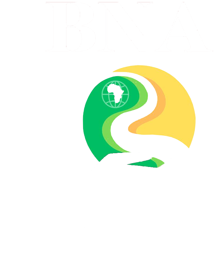 Hudson Valley NY Black Nurses Association, Inc. (HVNYBNA) Logo